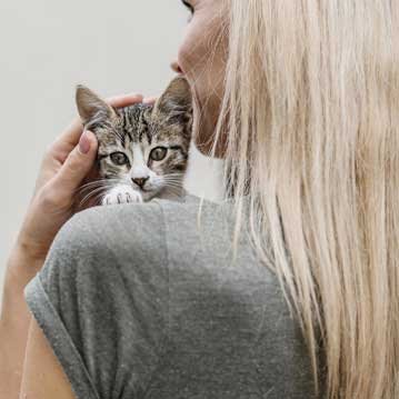 Torre de vigilancia solar autónoma en España